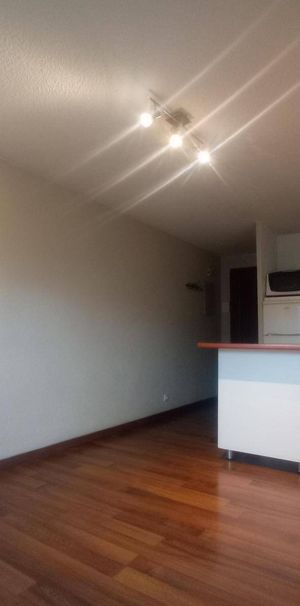 Location appartement 2 pièces 26 m² à Sallanches (74700) - Photo 1