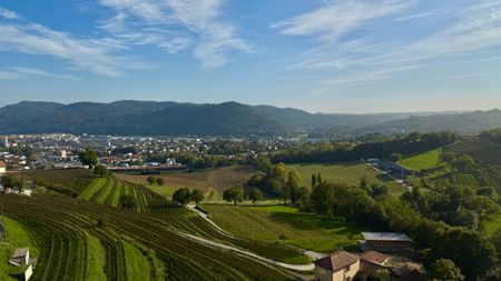 UP TO 3 MONTHS FREE -3.5 renovated rooms in Coldrerio - Photo 4