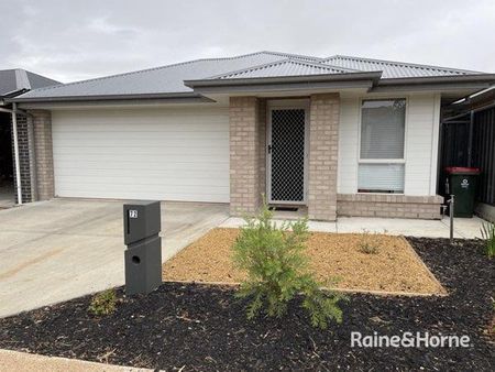 72 Hayfield Avenue, Blakeview, SA 5114 - Photo 3