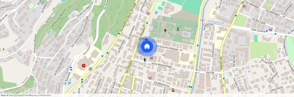 Via Giacomo Brentani 4, 6900 Lugano