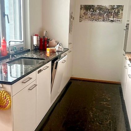 4½ Zimmer-Wohnung in Zürich - Kreis 9 Albisrieden, möbliert, auf Zeit - Photo 1