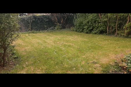 1 Bed Flat, Hardgate, AB11 - Photo 2