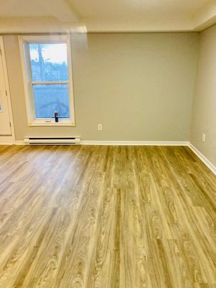 For Lease - 19 Church Street Unit# 1, New Tecumseth, Ontario - Photo 1