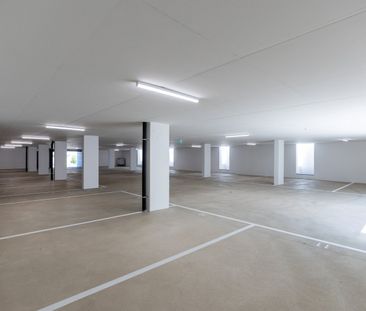 Ex masseria completamente ristrutturata, in prima locazione con mag... - Foto 4