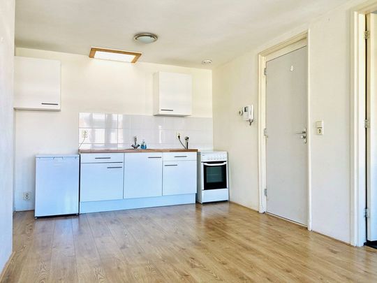 Te huur: Appartement Rodenrijselaan 30 A 02A in Rotterdam - Foto 1