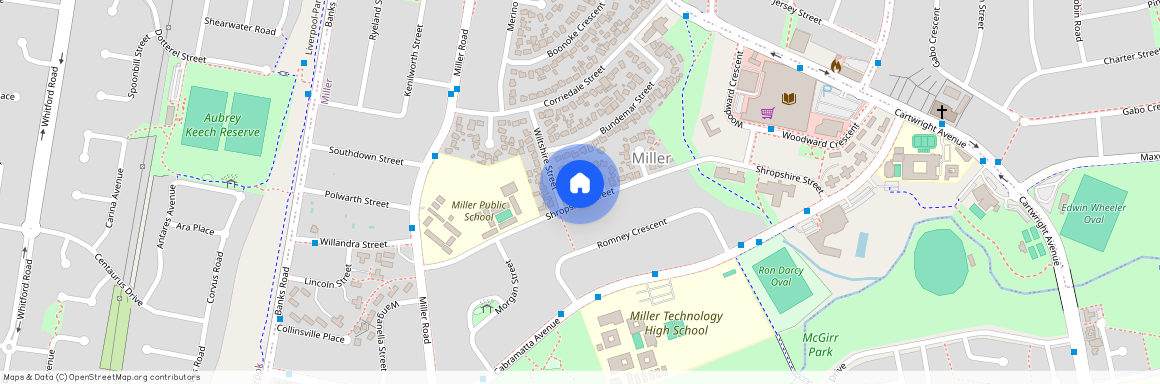 11 Shropshire Street, NSW 2168, Miller