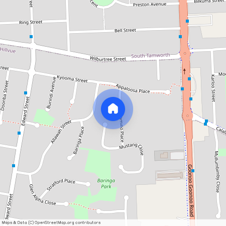 12 Palomino Place, NSW 2340, Tamworth