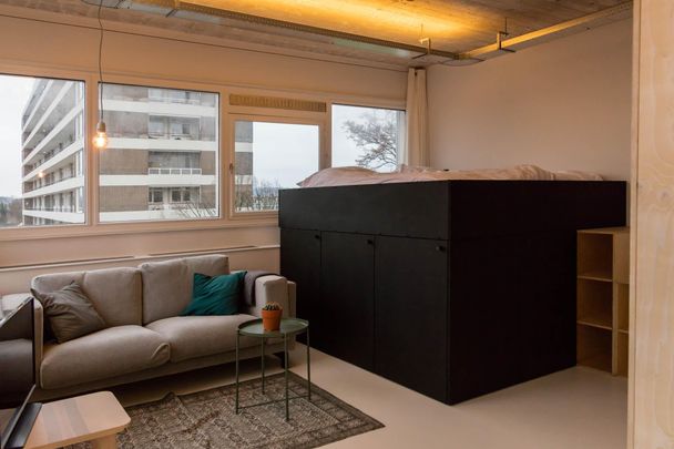 Te huur: Appartement Professor Pieter Willemsstraat in Maastricht - Photo 1