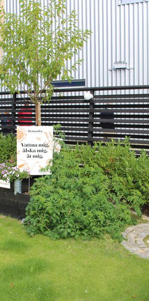 Fysikgränd 2 - Photo 1