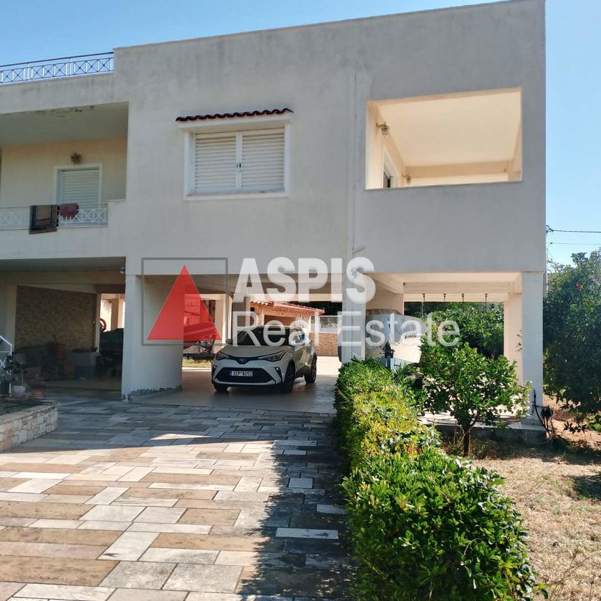 Μονοκατοικία, προς ενοικίαση Πόρτο Ράφτη, Μαρκόπουλο Κωδικός 2652520 - Photo 1