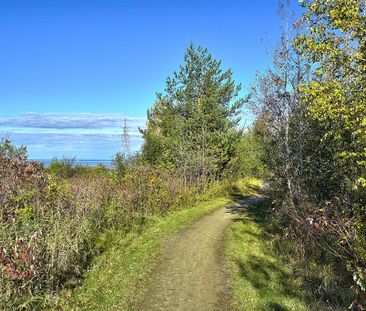 For Lease - 50 Trott Boulevard, Collingwood, Ontario - Photo 5