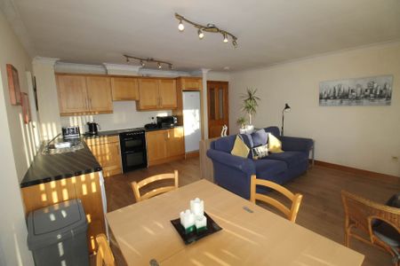 Mount Oval Village, Rochestown - Photo 4