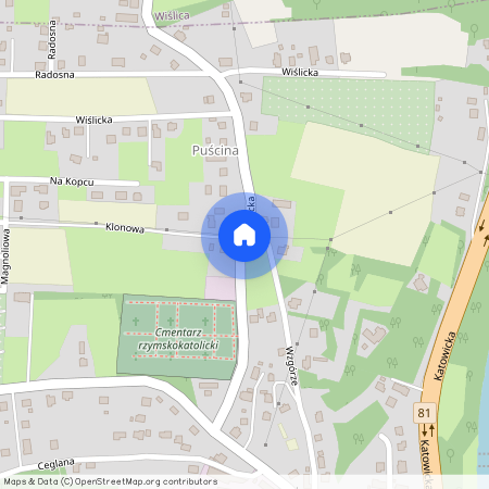 ul. Wiślicka, Skoczów, Skoczów, cieszyński, śląskie