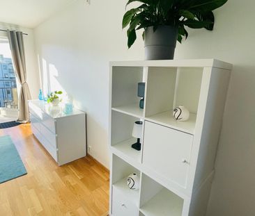 Folkparken, Handen - Photo 3