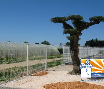 Location Appartement 2 pièces 37m² ST CYPRIEN 66750 - Photo 3