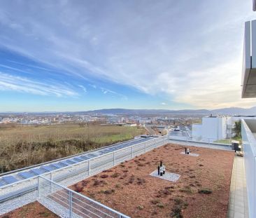 Elegante 3-Zimmer-Wohnung in Krems: Erstbezug mit Balkon und Fernbl... - Foto 3