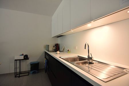 Lichtrijk 2-slpk gelijkvloers appartement aan stadspark - Photo 3