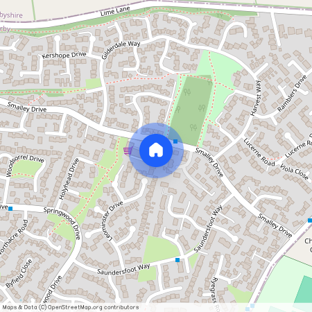 Smalley Drive, Derby, DE21