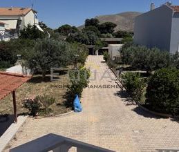 Μεζονέτα για ενοικίαση - Καλύβια Θορικού - Φωτογραφία 3