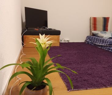 1½ ZI-WOHNUNG IN LUZERN, MÖBLIERT, TEMPORÄR - Foto 5