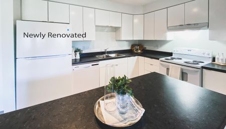 Torbay Road Apartments - Photo 5