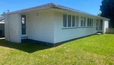 A Little Gem - Photo 5