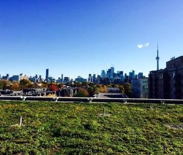 For Lease - 1030 King Street Unit# 505, Toronto, Ontario - Photo 2