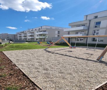 HOLLABRUNN XV/4 - Photo 2