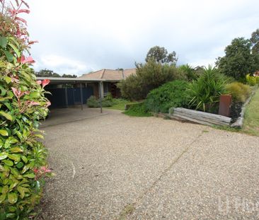 56 Hellmund Street, Queanbeyan NSW 2620 - House For Rent | Domain - Photo 6