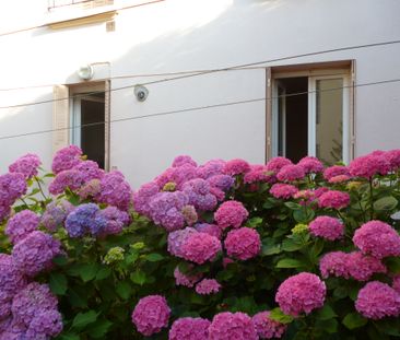 Location Appartement 1 pièce 23m² CLERMONT FERRAND 63000 - Photo 5