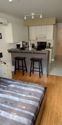 Disponible nouveau Studio meuble dans le Plateau Mont Royal - Photo 1