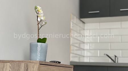 Do wynajęcia mieszkanie Bydgoszcz Centrum - 30m2 - Photo 5