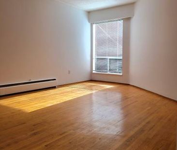 Bachelor Suite for rent in Downtown - Photo 3