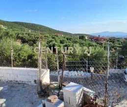 Μονοκατοικία για ενοικίαση - Θουρία, - Photo 6