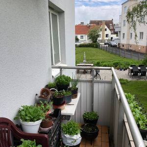 Hornsgatan, Landskrona - Foto 2