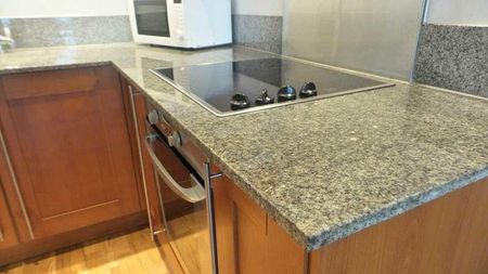 Isaac Way, Manchester, M4 - Photo 4