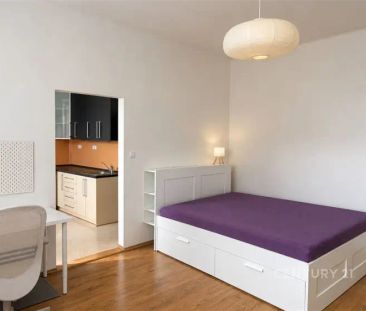 Byt 1+1 k pronájmu na adrese Jílkova, Brno-Židenice - Photo 5