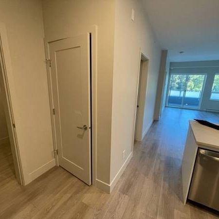 Spacious 1BR/In suite laundry/SS appliances/Walk in closet/Soaker tub - Photo 3