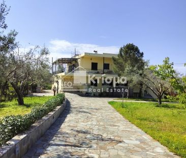 Κτίριο για ενοικίαση - Πύργος, - Photo 6
