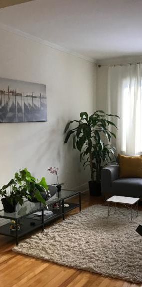8 1/2 - Montréal (Rosemont) - 2 899 $/mois - Photo 1