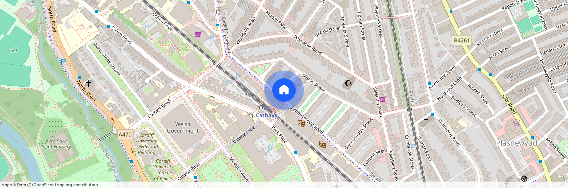 Llandough Street, CF24 4AW, Cathays