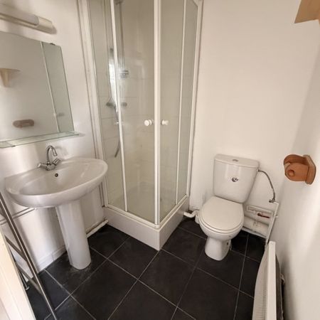 Appartement 1 pièce à Strasbourg - Photo 3