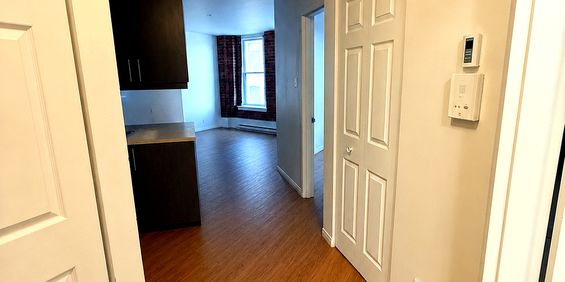 Grand 3½ — 49 Rue King Ouest, App. 203 - Photo 3