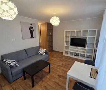 Kawalerka, miejsce w hali w cenie | Witomino - Photo 4