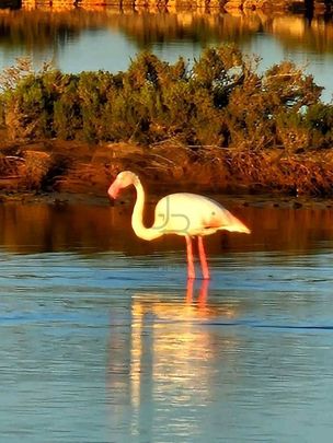 4 bedroom luxury Villa for rent in San Jose, Balearic Islands - Photo 1