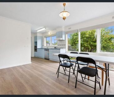 Affordable Coastal Living - Photo 3