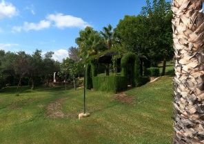 Chalet/casa independiente en alquiler en Urbanización La Lloma