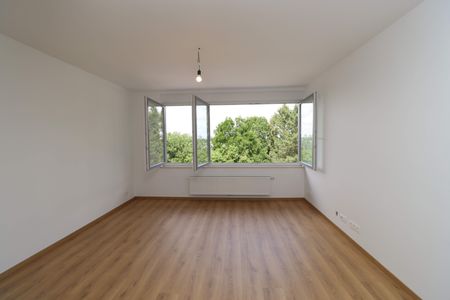 Komplett sanierte Wohnung mit 1 Schlafzimmer - Foto 3