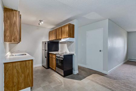 Premier Suite - 2 Bedroom - Photo 4