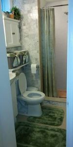 Small Batchelor w Bath&Kitchinette $700 Humber-Lakeshore - Photo 3